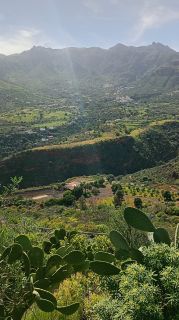 GC-Mirador El Helechal 2026-10.jpg